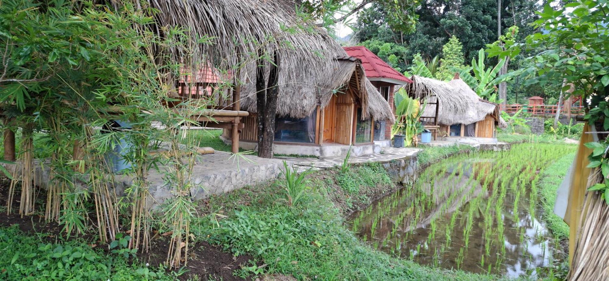 Uma Nirmala Aling-Aling Hotel Singaraja  Exterior photo