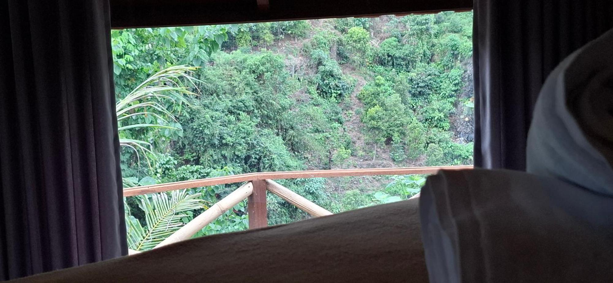 Uma Nirmala Aling-Aling Hotel Singaraja  Exterior photo