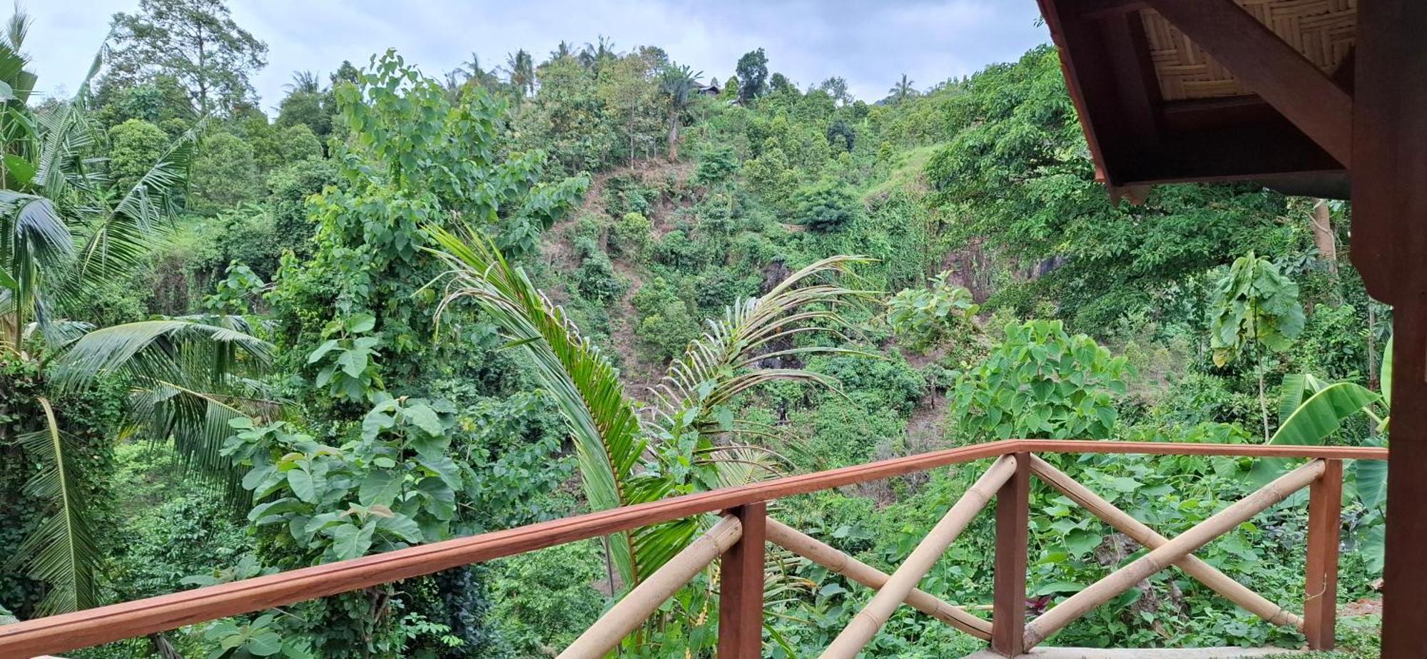 Uma Nirmala Aling-Aling Hotel Singaraja  Exterior photo